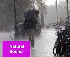 Learn more about sound and the definition of sound at howstuffworks. Street Sound Effect Free Mp3 Download Mingo Sounds