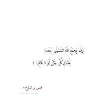Shahadz Words Quotes Quran Quotes Quotes