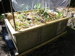 Check spelling or type a new query. Making A Raised Garden Bed From Concrete Pavers 4 Steps Instructables