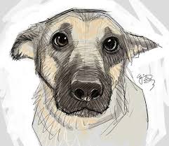 Puppy Eyes By Ej Su On Deviantart Find More At Www Pinterest Com Drawings Art Anima Dog Art Animal Drawings Dog Drawing