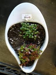 What To Do With Those Old Porcelain Bedpan Bedpan Plants Creative Gardening Garden Whimsy Garden
