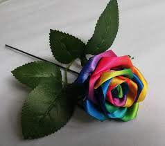 A rose is a woody perennial flowering plant of the genus rosa, in the family rosaceae, or the flower it bears. Rainbow Colour Rose Flowers Handmade Silk Satin Rose Flowers Wedding Bridal Bouquet Home Decoration Wedding Flowers Wedding Bouquets Aliexpress
