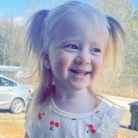 9245189_fbs.jpg?cb=20250819072005