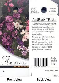 African Violet Care Card African Violet Care African Violets Violet Garden