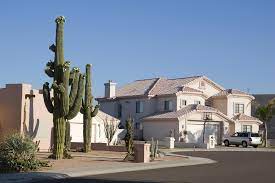 A cactus odyssey in arizona. Saguaro Cactus Removal Info Jose Knows Trees
