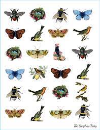 You'll also find blank printable templates like graph paper, dot arrays, and other useful tools. Vintage Spring Printable Country Living Project The Graphics Fairy