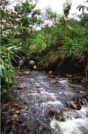Sungai perak sungai perak tercatat sebagai sungai paling panjang di semenanjung malaysia. Habitat Of Homalopteroides Avii In Sarawak Balui River Rajang River Download Scientific Diagram