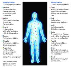 Calciumaufnahme 1 Netzwerk Osteoporose E V