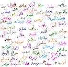 طقطقه