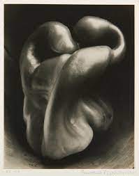 2) for his 16th birthday. Weston Edward Pepper No 30 Still Life Sotheby S N09129lot5vynsen