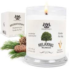 Amazon Com Wildwoods Cedarwood Vanilla Aromatherapy Deodorizing Soy Candle For Pets Candles Scented Pet Odor Eliminator Animal Lover Gift 6 Oz 170 G Home Kitchen