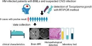 If there is dna or rna of the desired element in a sample, it is not identifiable as such. Diagnostic Value Of Real Time Pcr Of Brain Mass Lesion In Hiv Associated Toxoplasmic Encephalitis A Case Series Parasites Vectors Full Text