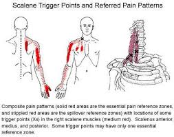 Pin On Back Stretches