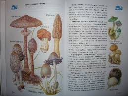 атлас определитель от земли до неба 1 класс купить Illyustraciya 25 Iz 103 Dlya Ot Zemli Do Neba Atlas Opredelitel Kniga Dlya Uchashihsya Nachalnyh Klassov Fgos Andrej Pleshakov Labirint Knigi Istochnik Tiger