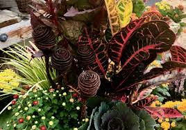 Check spelling or type a new query. Simple Container Design Planters Sunnyside Gardens Minneapolis