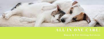 Of course, there are always variables that affect that price such as if you need a pet taxi to pick up and. All In One Care House Sitter Cape Town Western Cape Facebook 11 Photos