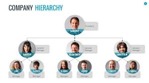 Organizational Chart And Hierarchy Template Composition Of