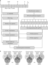 T/e (b) the cell wall is made of protein. Combinatory Annotation Of Cell Membrane Receptors And Signalling Pathways Of Bombyx Mori Prothoracic Glands Scientific Data