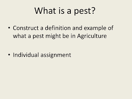 This analysis assesses these factors in relation to a business. Introduction To Agricultural Pests Agri Science Mr Bailey Ppt Download