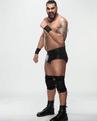 Someone suggested that i meet the great khali. Wwe Giant Zanjeer Height Wife Age Indian Wrestlers Wiki Instagram