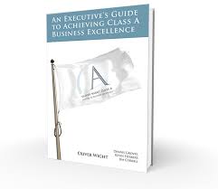 An Executives Guide to Achieve Business Excellence