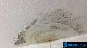 Banyodan alt kata su sızıntısı ve kaçakları sebepleri nelerdir? Acilan Fayans Aralari Nasil Doldurulur Tufan Tesisat