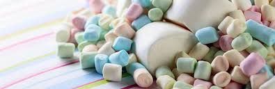 Spayed female cats are the most likely to bring gory gifts to their owners. Can Dogs Eat Marshmallows Nutrition Guide My Pet Needs That
