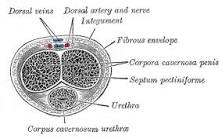 Image result