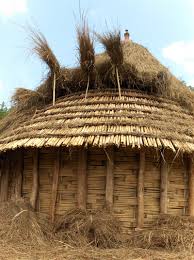 No doubt in your travels you have seen people conducting controlled burnings of prairies or fields, but you may not know why this is done. House Grass Basket To Ethiopia