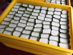 Kuih tako menggunakan tepung jagung atau hoen kwe. Tepung Pelita Juadah Iftar Pilihan Ramai Jamu Selera Mstar