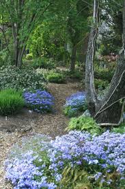 Design Garden Woodland Woodland Garden Designs 26 Woodland Garden Forest Garden Shade Garden
