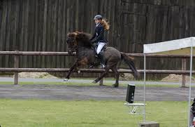 We did not find results for: Galopp Als Energizer Fur Den Tolt Islandpferde Blog Hgg Reitsport