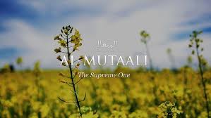 The Name Of Allah Beautiful Names Of Allah Urdu Words Urdu Words With Meaning