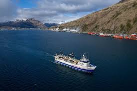 Image result for Bleu Fjord 1981 Fleet