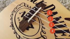 A beginner's ukulele resource kit. Ukulele String Order Ukulele Go