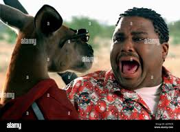 Kangourou jack hi-res stock photography and images