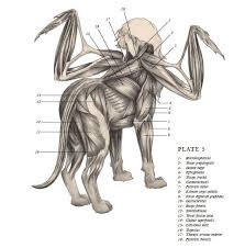 https www google com blank html criaturas mitologicas criaturas miticas criaturas magicas