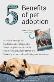5 Benefits Of Adopting A Pet Shelter Animals Adopt Don T Shop Pet Adoption Adoption Pet Ownership
