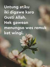 Kalau bingung cari kata kata bahasa jawa buat bahan bercanda, kamu bisa cari inspirasi di sini. 40 Kata Kata Mutiara Cinta Bahasa Jawa Sarat Makna Sebagai Renungan Hot Liputan6 Com