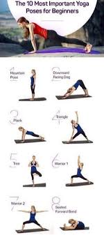 The 10 Most Important Yoga Poses For Beginners Yoga Poses Yoga Sweat Yoga Poses For Beginners