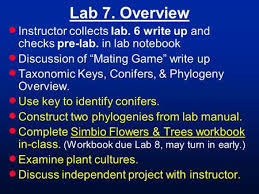 This is why you remain in the best website to look the amazing book to have. Lab 9 Overview Instructor Checks Pre Labs In Lab Notebook Discussion Of Exam Sickle Cell Disease Write Up The Independent Projects Basic Bacteria Ppt Download