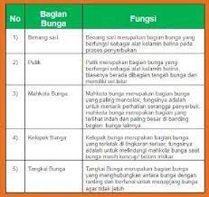 Kunci jawaban buku paket ipa kelas 8 semester 1 mata pelajaran. Kunci Jawaban Ipa Kelas 9 Semester 1 Halaman 65 Brainly Co Id