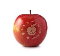 Application Of RFH UV Laser In Fruit Marking