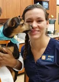 Benfield dog hospital online