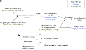 A This Flow Chart Shows How The Derived Genetic Data