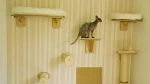 Stilvolle und 100% personalisierte kratzbäume für katzen selber basteln. Kletterwand Fur Katzen Selber Bauen Tipps