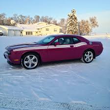 Image result for Furious Fuchsia 2010 Challenger