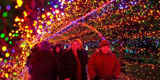 Celebrate The Season With Over One Million Dazzling Lights Fun New Experiences And Traditional Favorites At Garden Glow Missouri Botanical Garden Missouri New Experience