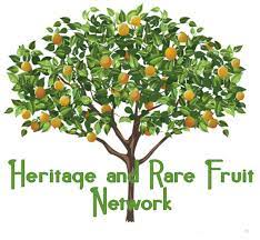 A seedling avocado can take 10 or more years to fruit. Heritage Rare Fruit Network Grafting Tree Sales Days Heritage Rare Fruit Network