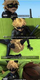 I Know He Rejected Her For Ladybug And Yet I Just Ship Marichat More Than Ever Miraculous Ladybug Funny Miraculous Ladybug Memes Miraculous Ladybug Comic